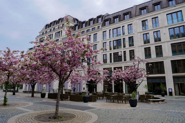 Kanzlei Frankfurt 2